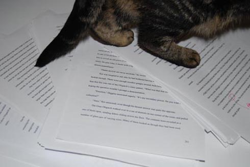 manuscript manuscript