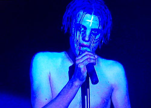 hedwig3