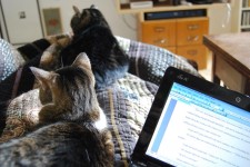 My challenging working conditions. Where's my dream study? My challenging working conditions. Where's my dream study?